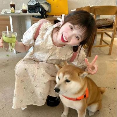 昆西四季
